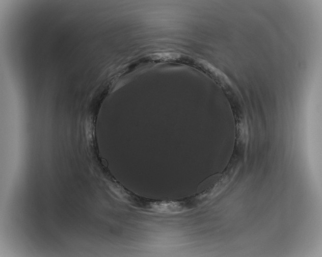 X0000111120517200907141153