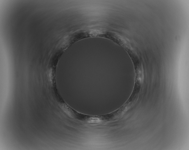 X0000111120519200907141153