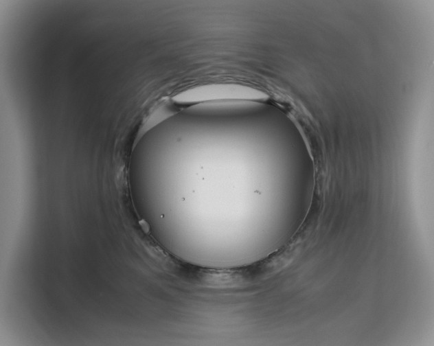 X0000111120521200907141153