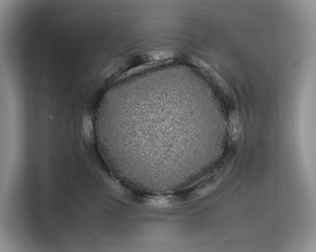 X0000111120523200907141153