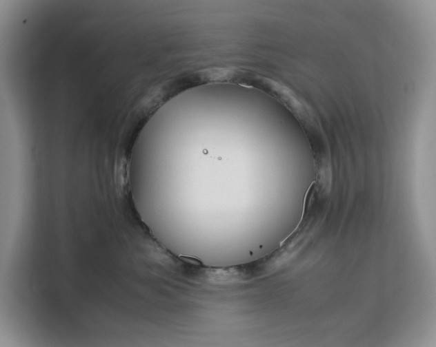 X0000111120525200907141153