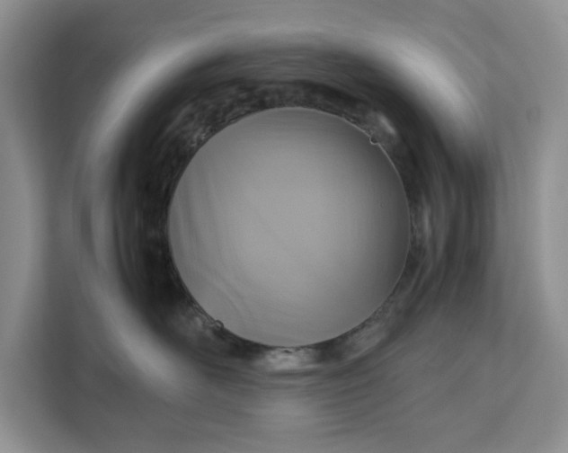 X0000111120526200907141153