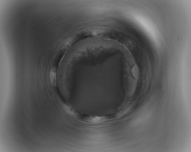 X0000111120527200907141153