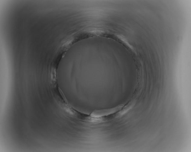 X0000111120528200907141153