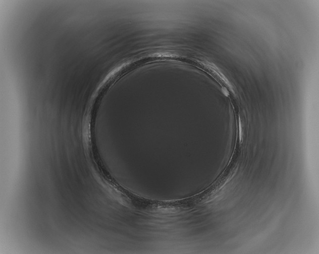 X0000111120531200907141152