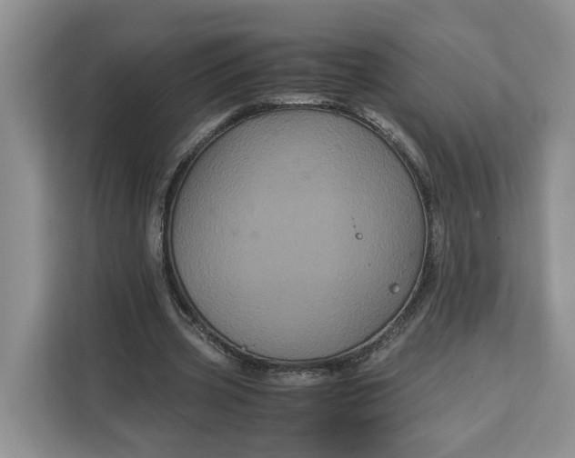 X0000111120533200907141152