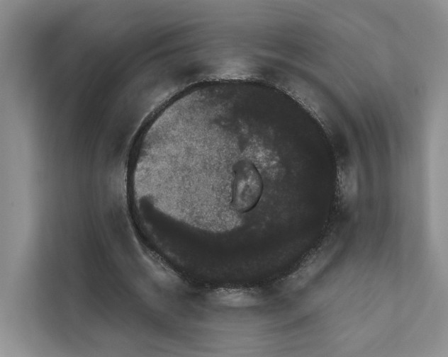 X0000111120534200907141153