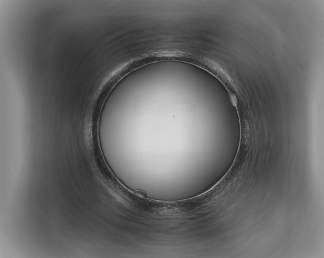 X0000111120535200907141153