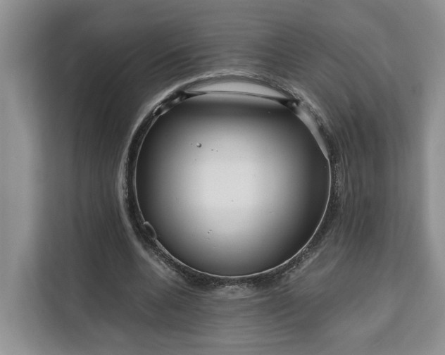 X0000111120536200907141153