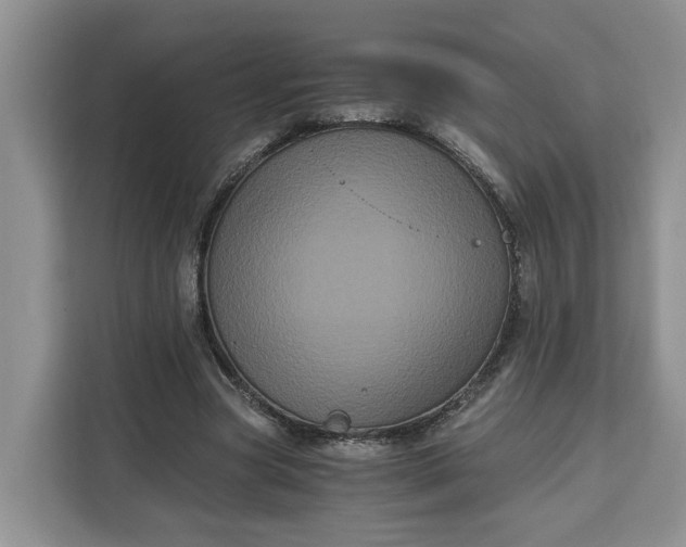 X0000111120537200907141153