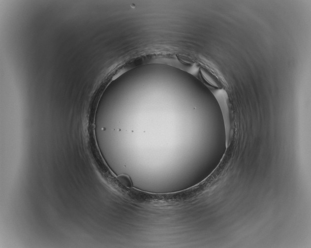 X0000111120538200907141153