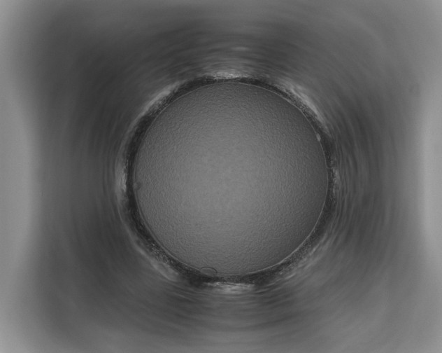 X0000111120539200907141153