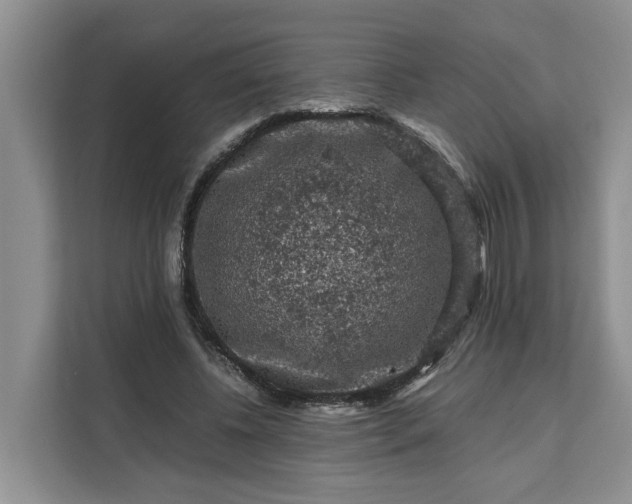 X0000111120540200907141153