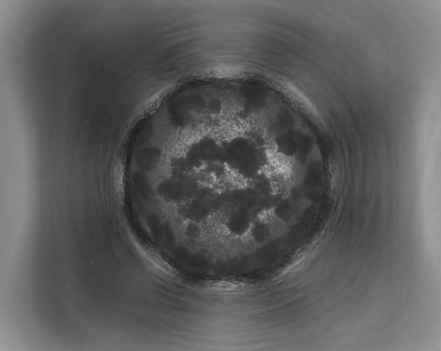 X0000111120542200907141153