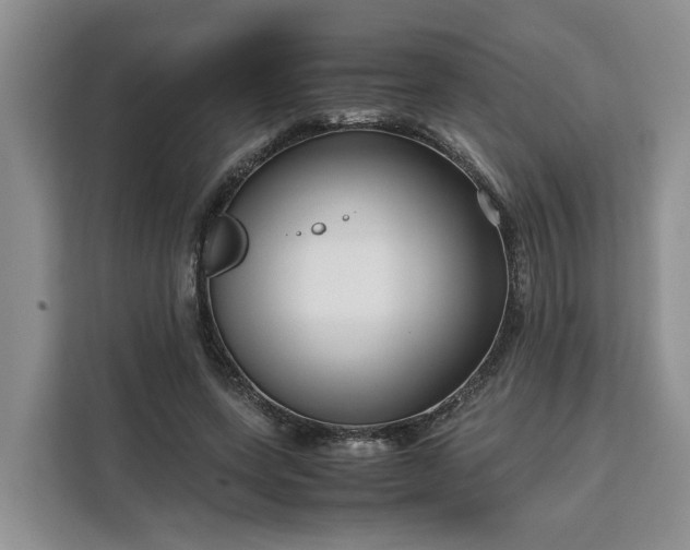 X0000111120543200907141153