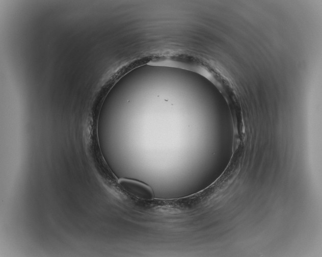 X0000111120544200907141153