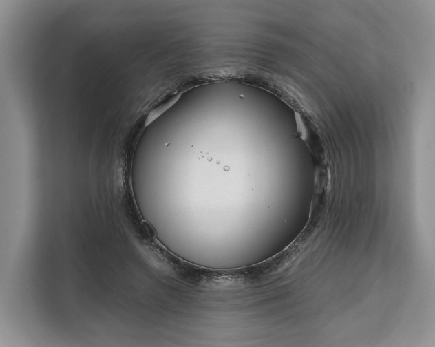 X0000111120546200907141153