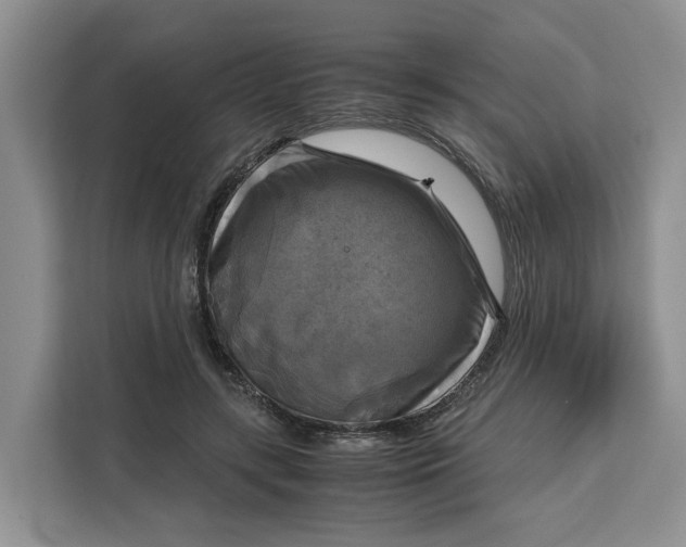 X0000111120547200907141153