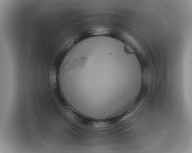 X0000111120549200907141153