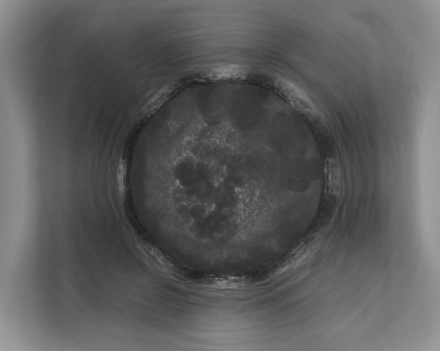 X0000111120550200907141153