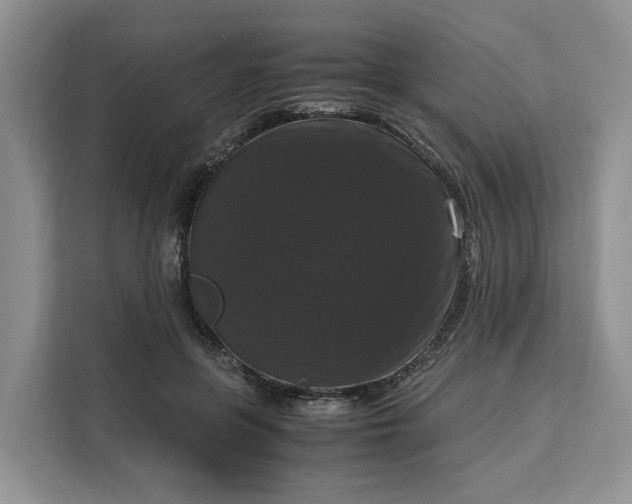 X0000111120551200907141153