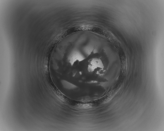 X0000111120553200907141153