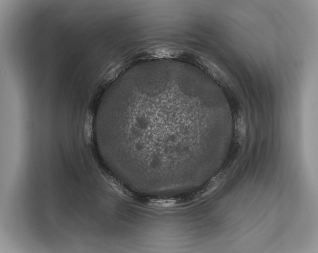 X0000111120554200907141153