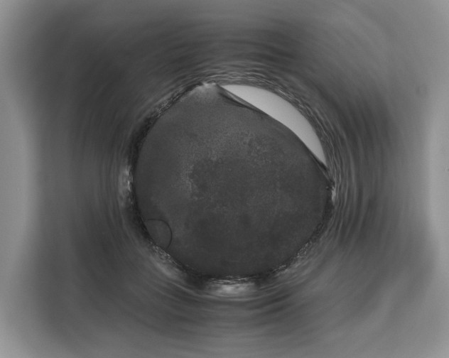 X0000111120555200907141153