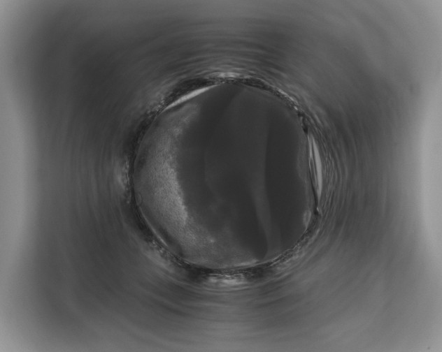 X0000111120559200907141153