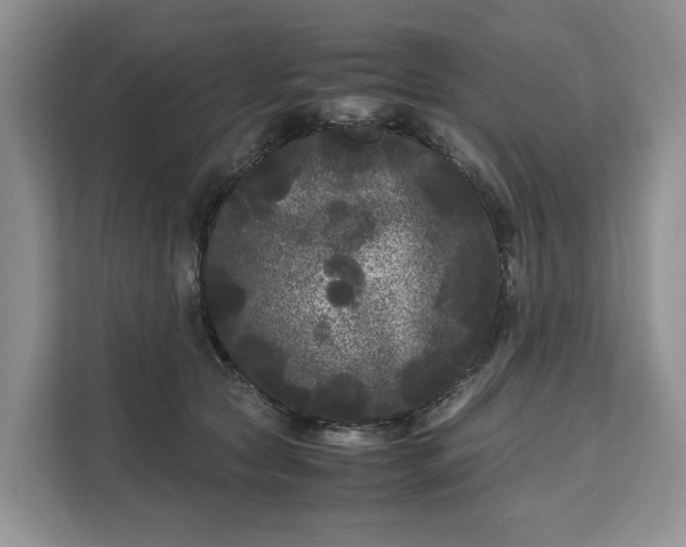 X0000111120561200907141153