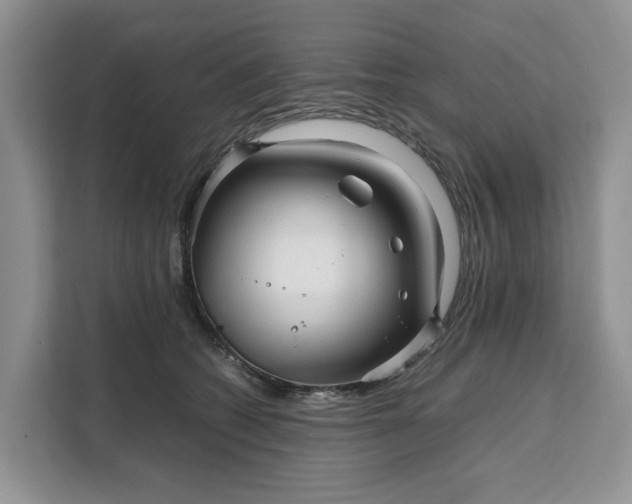 X0000111120562200907141153