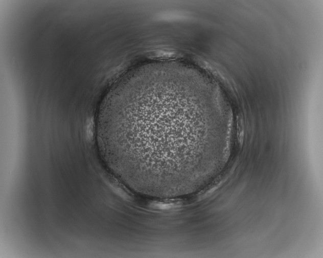 X0000111120563200907141153