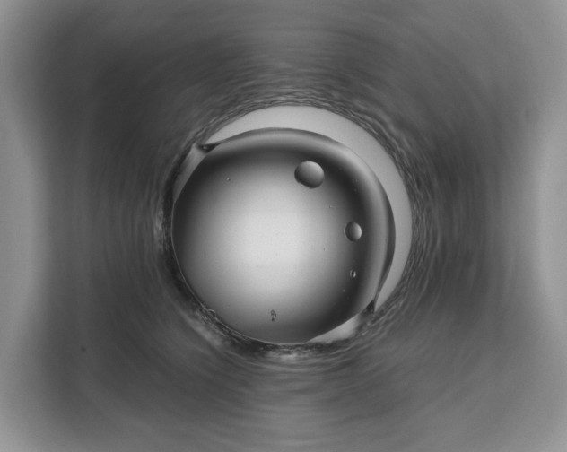 X0000111120564200907141153