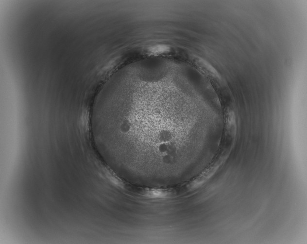 X0000111120565200907141153