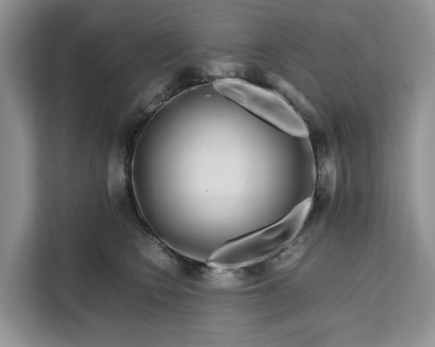 X0000111120566200907141153