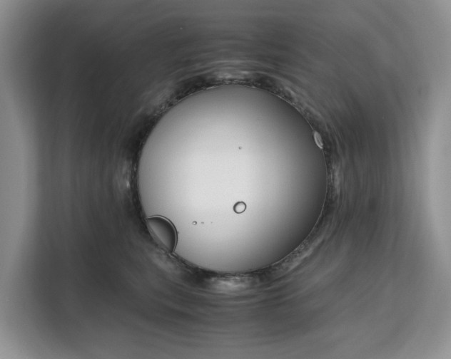 X0000111120567200907141153