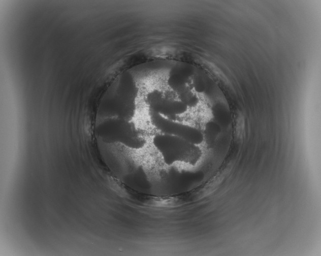 X0000111120569200907141153