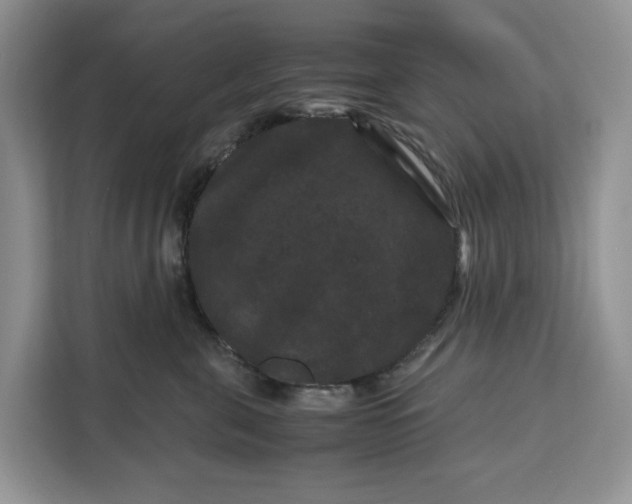 X0000111120571200907141153