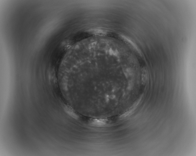 X0000111120573200907141153