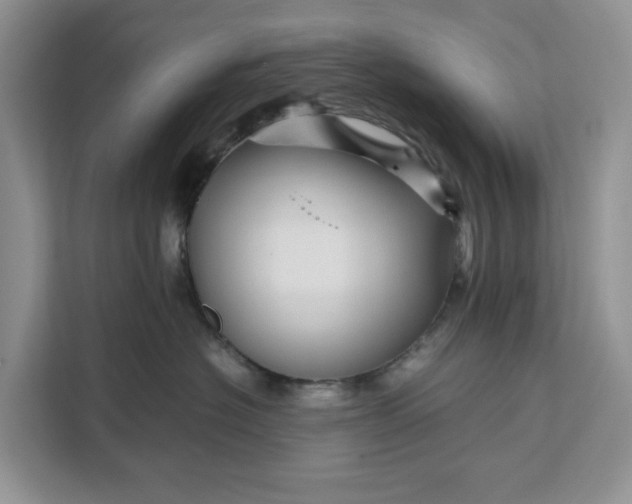 X0000111120574200907141153