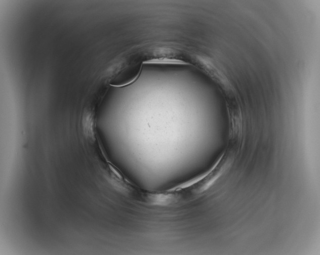 X0000111120575200907141153