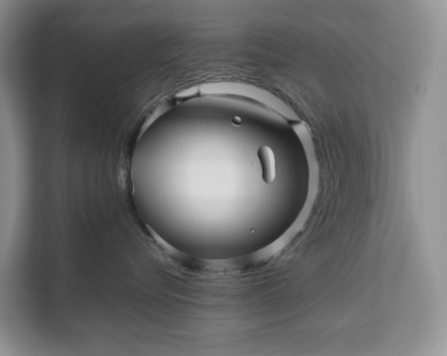 X0000111120576200907141153