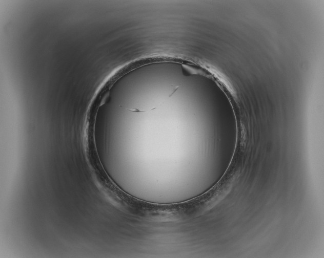 X0000111120580200907141152