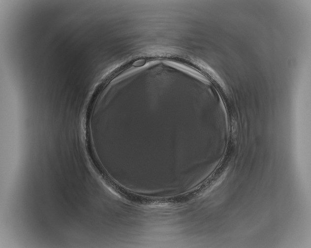 X0000111120581200907141152