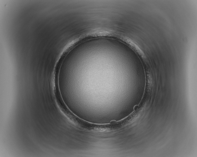 X0000111120582200907141152