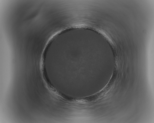 X0000111120583200907141152