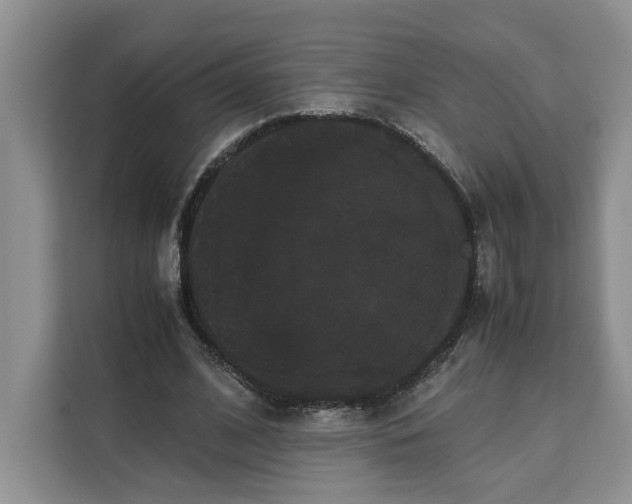 X0000111120584200907141152