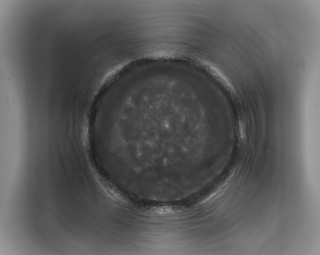 X0000111120588200907141152