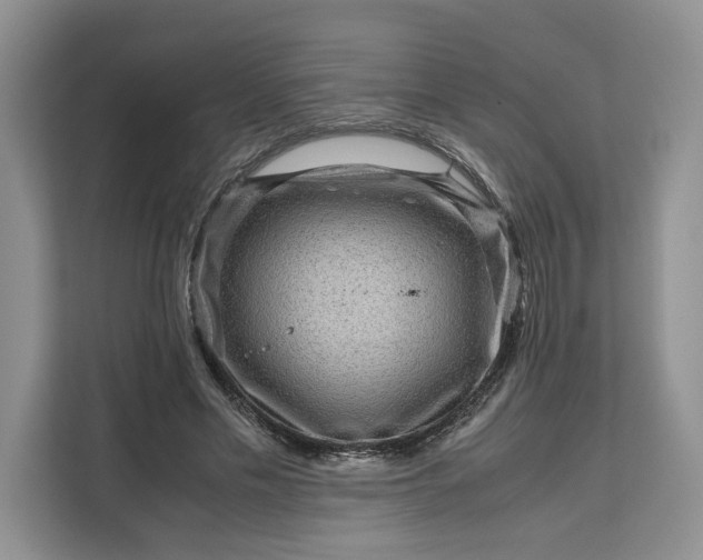 X0000111120589200907141152