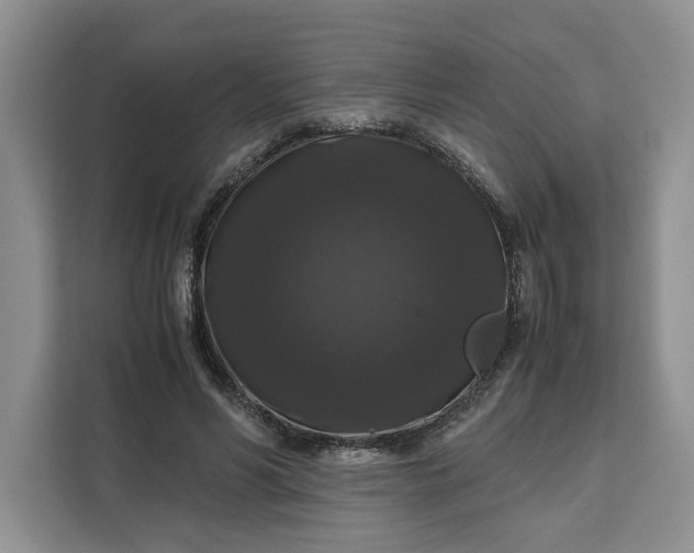 X0000111120590200907141152